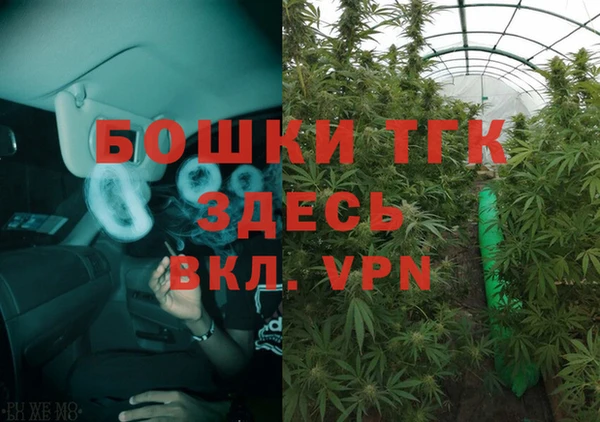 прущие грибы Балабаново