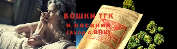 прущие грибы Балабаново