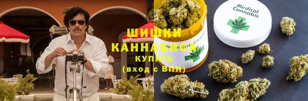 прущие грибы Балабаново